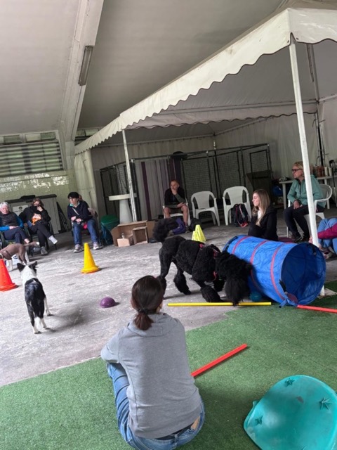 Essere cane per un giorno – seminario al Bosco di Gio, foto 9