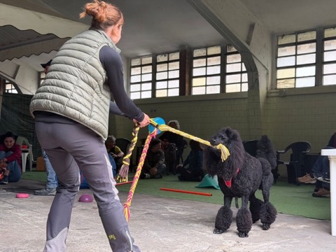 Essere cane per un giorno – seminario al Bosco di Gio, foto 12