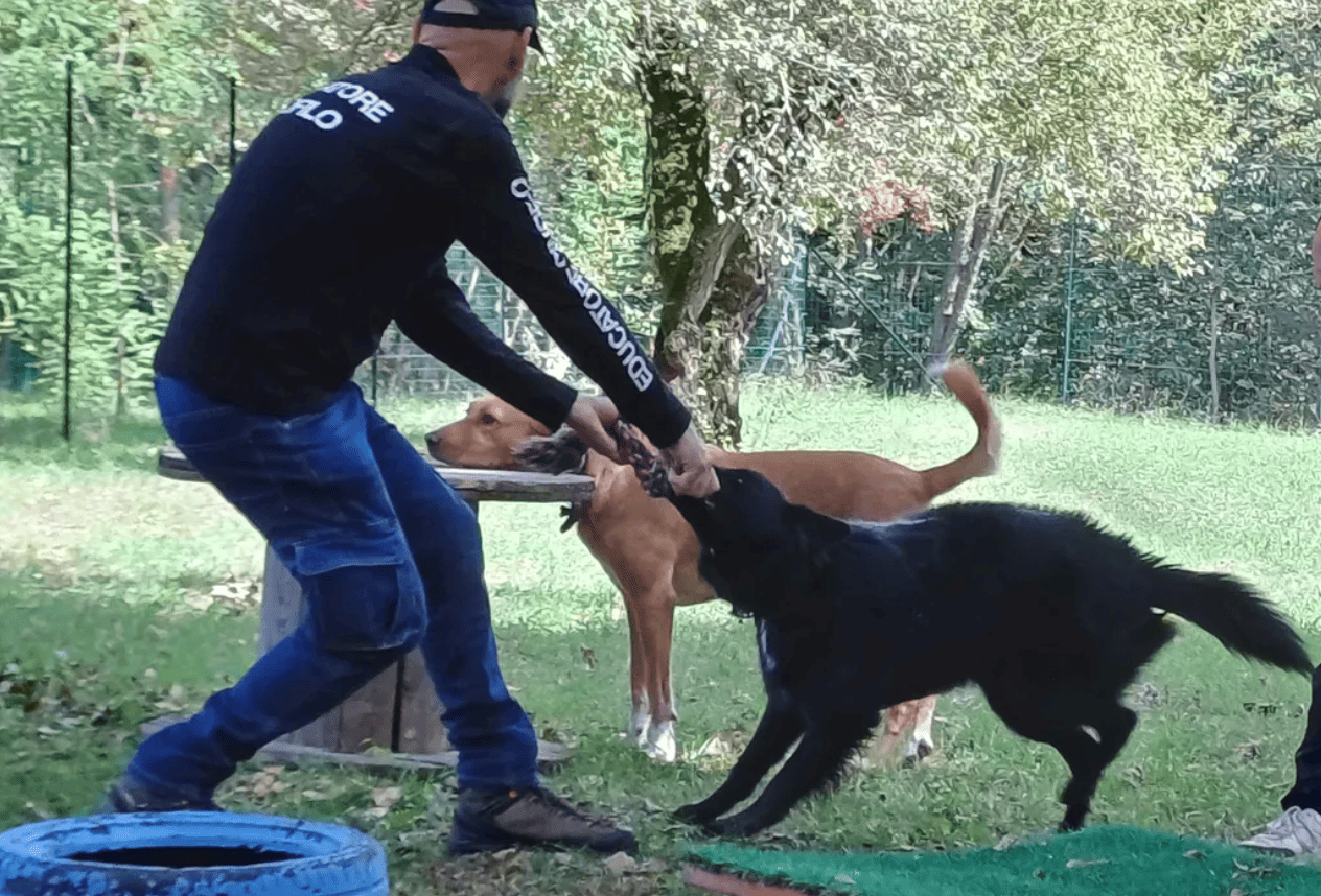 Essere cane per un giorno - format esperienziale