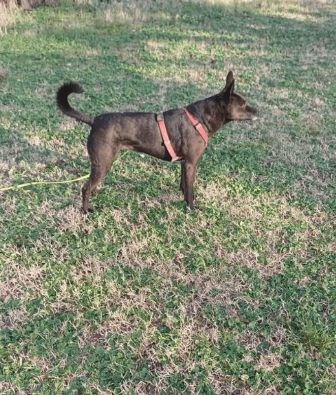 Instagram Christian Furia