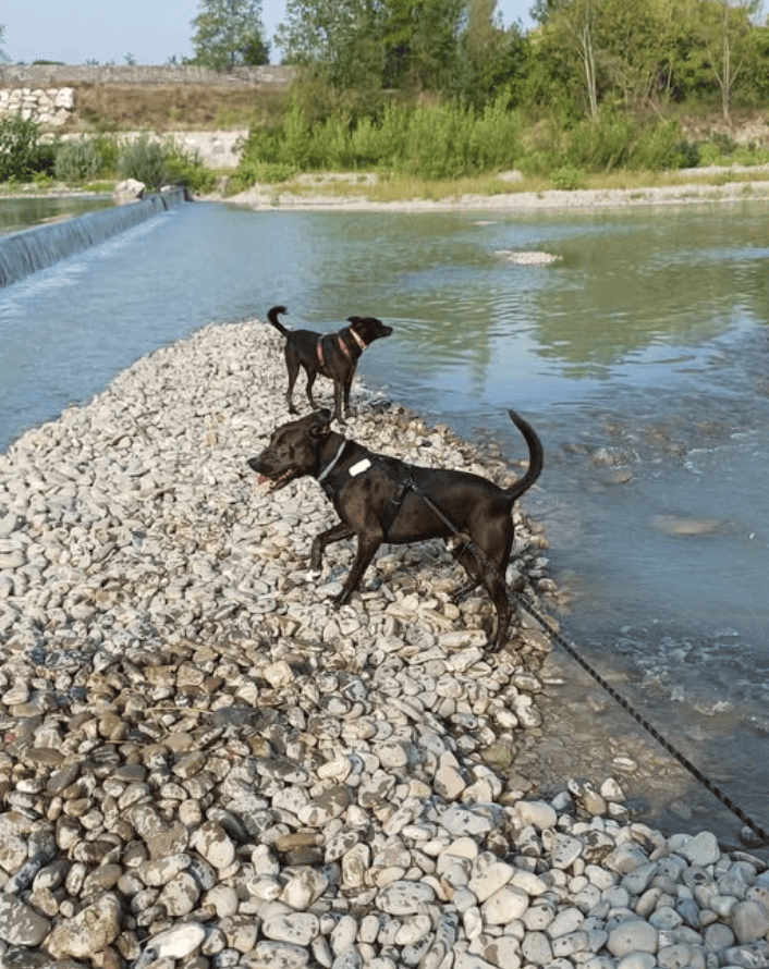 Instagram Christian Furia